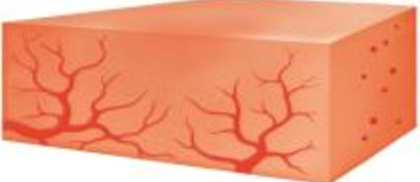 Floseal Matrix is resorbed by the body within 6-8 weeks, consistent with the time frame of normal wound healing.